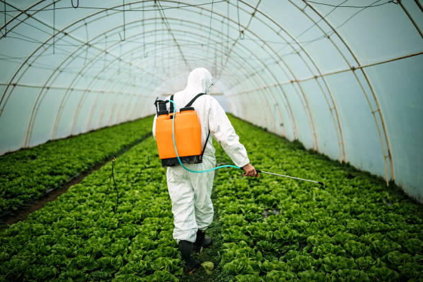Best Local Pest Control Services  in Fort Pierce South, FL