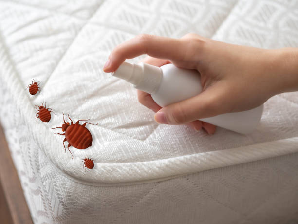 Pest Control for Restaurants in Fort Pierce South, FL
