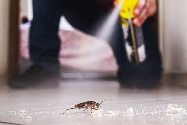 Best Wasp Removal Services  in Fort Pierce South, FL